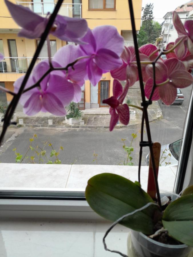 Moni 85 Family House Hotel Созопол Екстериор снимка